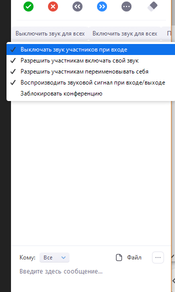настройки_входа_участников_и_звука_7119_0370b6-73510-0370b6.png