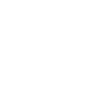 Flutter Mobile Developer