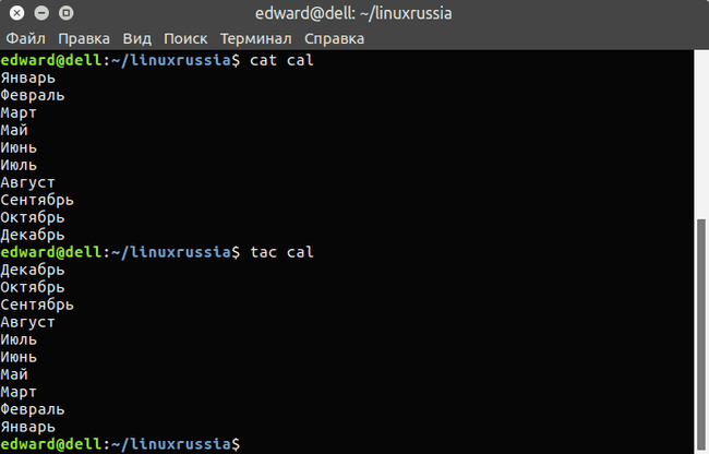 terminal_linux_21_1-20219-6bcb32.png