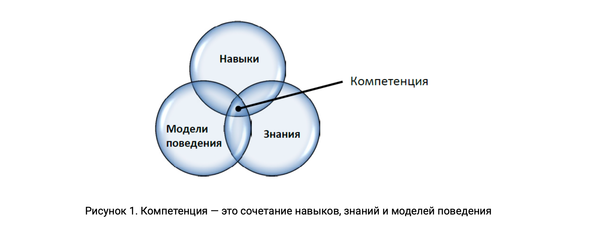 Работа с компетенциями | OTUS